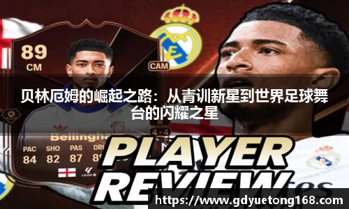 米兰(中国)官网